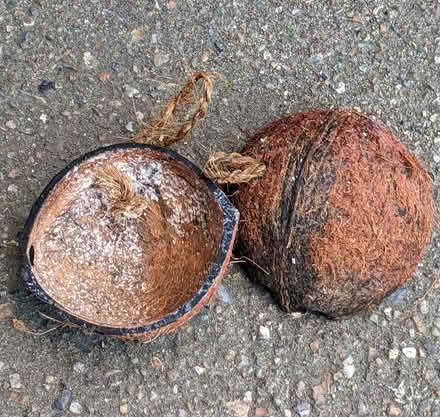 Photo of free Coconut shells (Higham Hill E17) #1