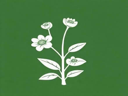 Photo of free Pyracantha - garden plant (islington N1) #1