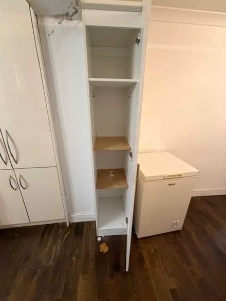 Photo of free Tall Slim Cupboard (Ealing TW8) #2