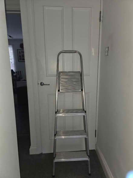 Photo of free Step ladder (East croydon) #2