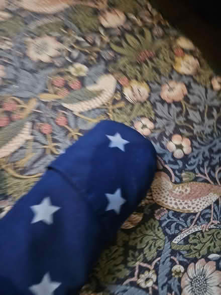 Photo of free Pram / snow suit (Camberwell) #4