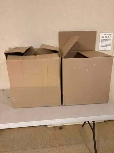 Photo of free packing peanuts (Shadyside/East Liberty) #1