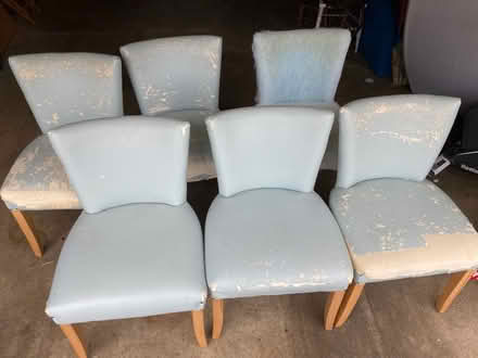 Photo of free 6 dining chairs (Westcott RH4) #1