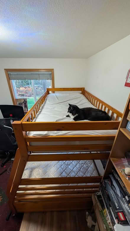 Photo of free Bunk beds (North Olympia) #1