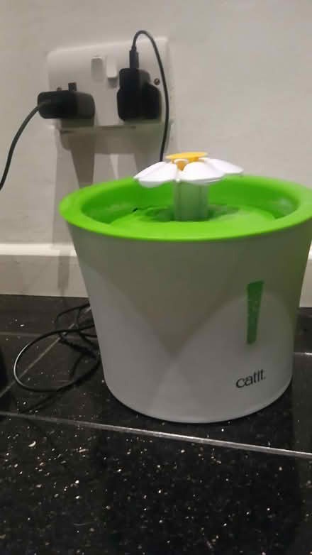 Photo of free Cat drinking fountain (Kennington OX1) #1