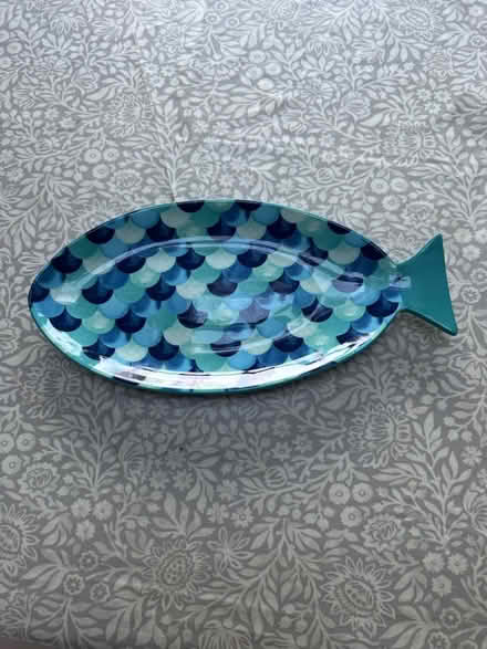 Photo of free Fish shaped plate (Roath Lake CF23) #1