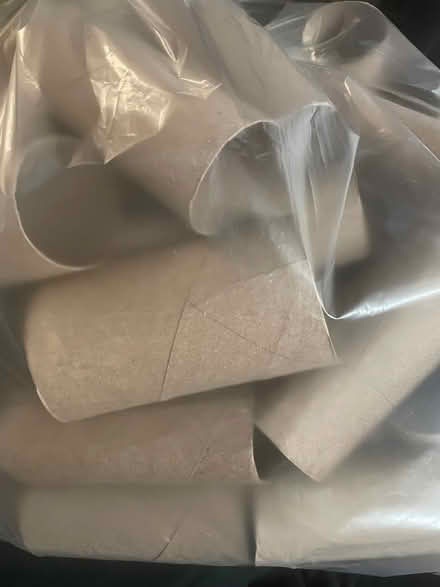 Photo of free 60+ Toilet Paper Rolls (Plum Grove & Euclid) #1