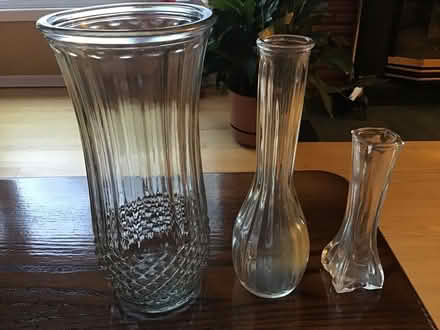 Photo of free Various vases (Conroy Rd & Walkley Rd) #1