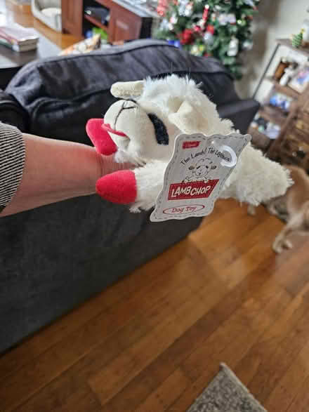 Photo of free Brand new dog toys (South San Francisco) #2