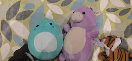 Photo of free Bundle of Soft toys (Berkhamsted HP4) #2