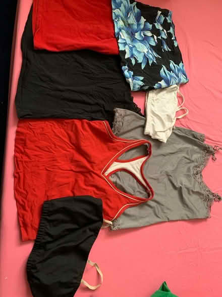 Photo of free Camisoles and Bandeau Tops (South Brampton) #1