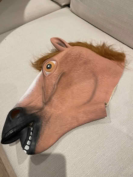 Photo of free Clear out items (Greenwich SE10) #3