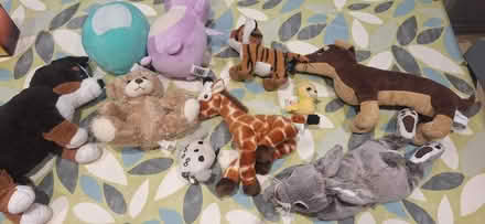 Photo of free Bundle of Soft toys (Berkhamsted HP4) #1