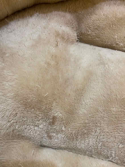 Photo of free Cat bed (Jennett's Park RG12) #3