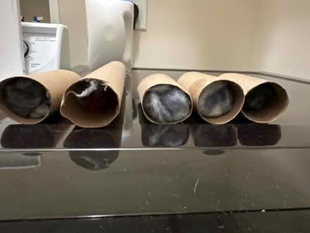 Photo of free Fire starters (Maple Lawn) #2