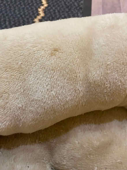 Photo of free Cat bed (Jennett's Park RG12) #4