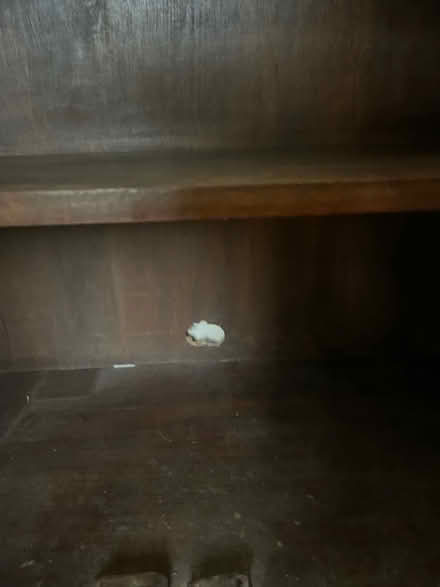 Photo of free Wooden cabinet (Warlingham) #4