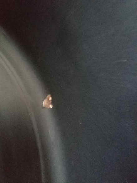 Photo of free Large Black Plastic Dog Bed (Waterlooville PO8) #2