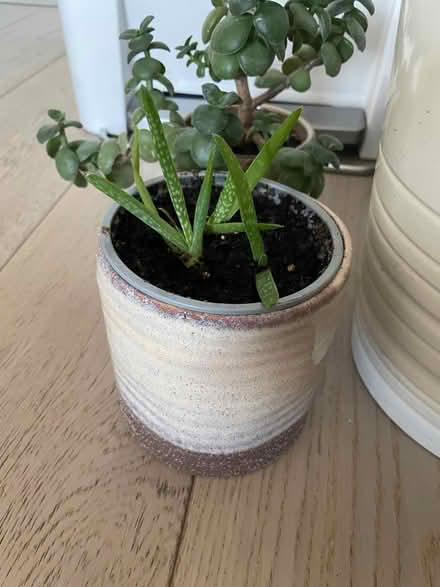 Photo of free Clear out items (Greenwich SE10) #4