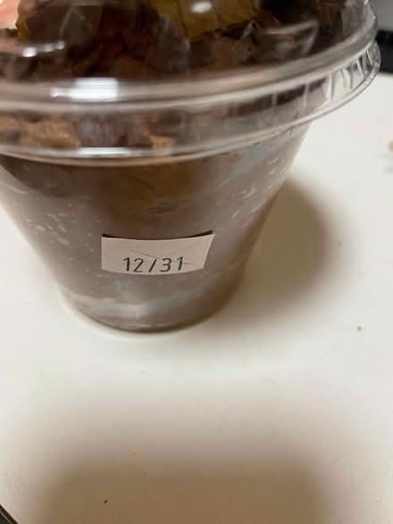 Photo of free Carrot, Confectioner Sugar, Pudding (Harlem) #2