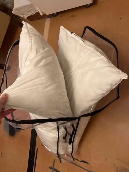 Photo of free Old pillows for animal bedding? (Dublin 7) #1