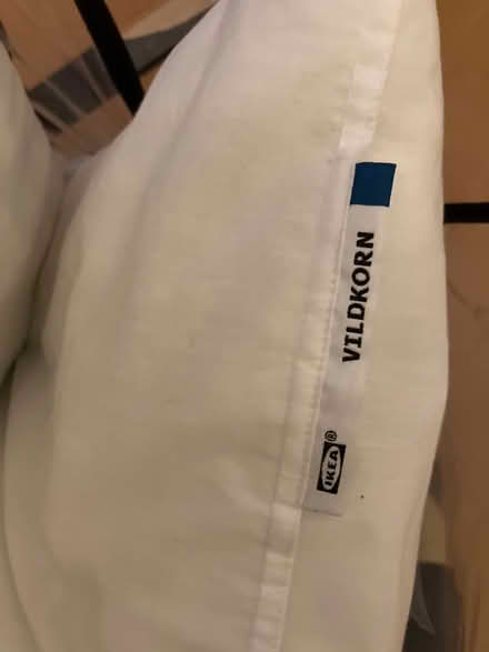 Photo of free Old pillows for animal bedding? (Dublin 7) #2