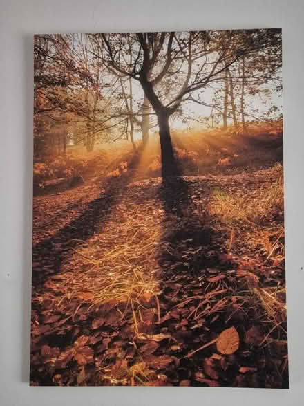 Photo of free Autumn picture canvas (Ashington (NE63)) #1