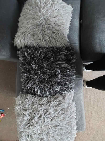 Photo of free 3 x Next cushions (S43 Staveley) #1