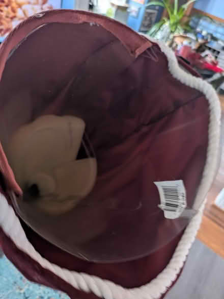 Photo of free Santa figure (Havertown, PA) #3