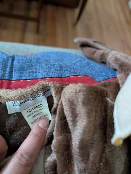 Photo of free Triceratops Costume (Ellicott City, MD) #2