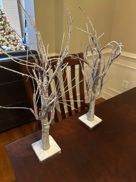 Photo of free Christmas Trees (Maple Lawn) #1