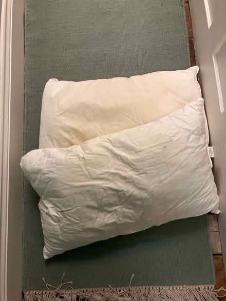 Photo of free Old pillows (SE5) #1