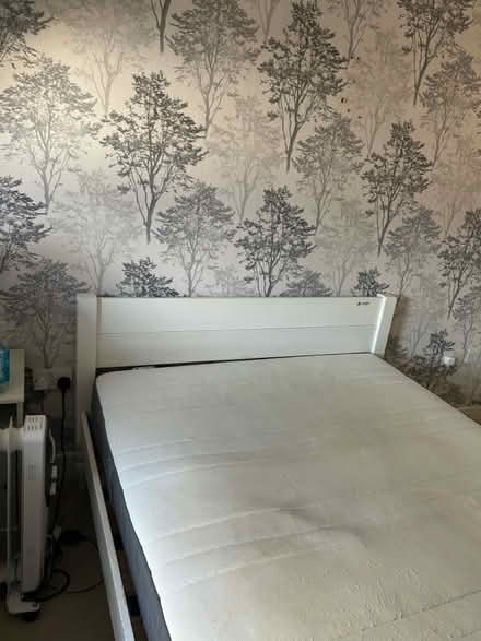 Photo of free Standard double bed and mattress (Harrow HA3) #3