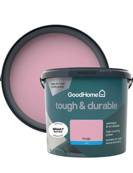 Photo of Leftover pink or related paint (Spottiswoode EH9) #1