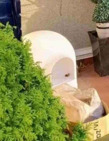 Photo of free Igloo Cat litter box (M33 sale) #1