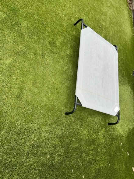 Photo of free Elevated dog bed for large dog (12th South) #1