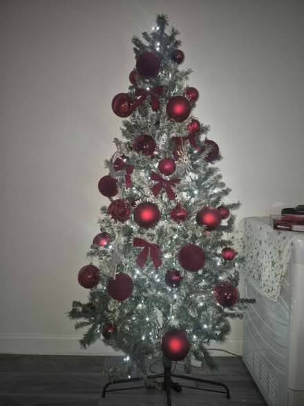 Photo of free Chrismas tree (Norbiton KT2) #1