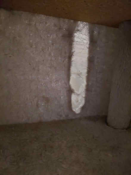 Photo of free Cat tower #2 (RG213AD) #3