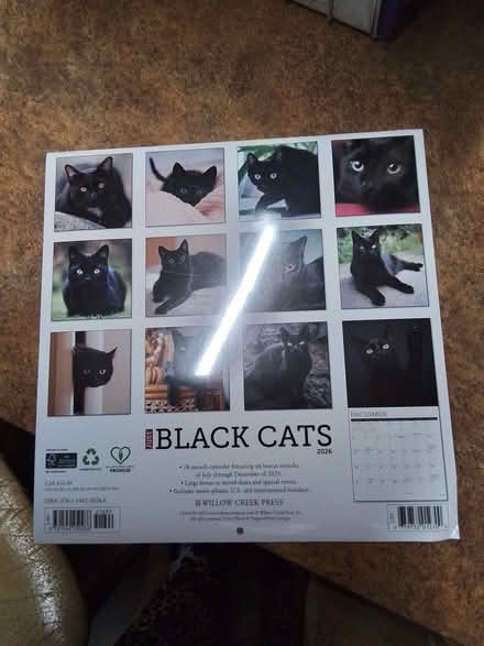 Photo of free 2026 black cat calendar (Fords Farm RG31) #2