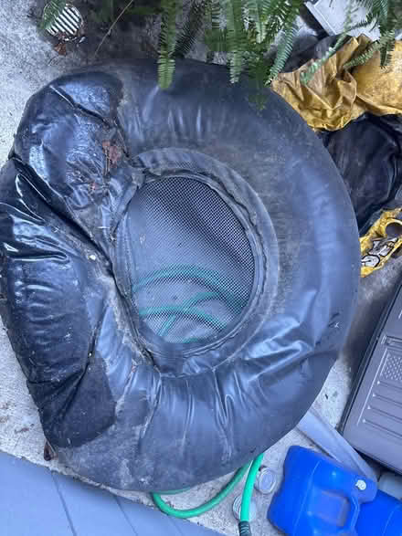 Photo of free Pair of rapid rider inner tubes (High st and brookdale ave.) #4