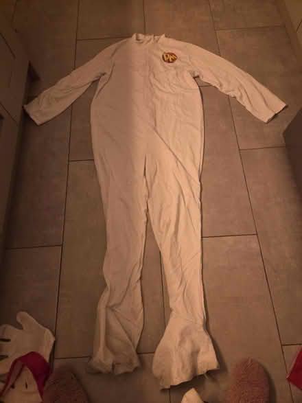 Photo of free Danger Mouse Costume (Lightwood ST3) #2