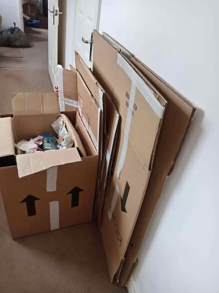 Photo of free Packing boxes (CT10) #2