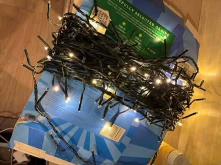 Photo of free Christmas lights (Allington ME16) #1