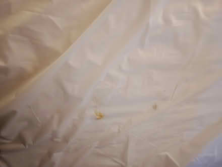 Photo of free Double mattress and cover (Hastings TN35) #3