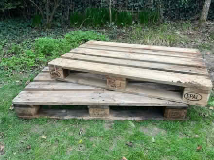 Photo of free Wooden Pallets (Linkhill TN18) #1