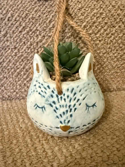 Photo of free Novelty Fox Planter (New Southgate, N11) #1