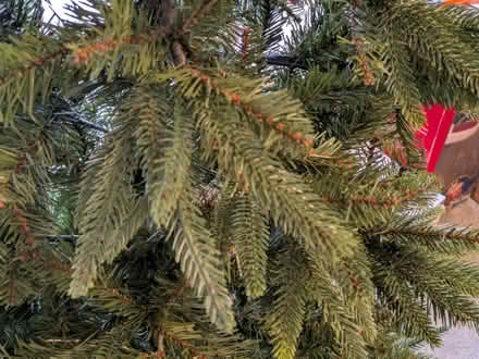 Photo of free 7ft Balsam Hill Christmas Tree (Bedwell SG1) #2