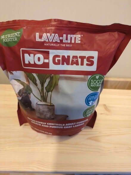 Photo of free Plant topper (Aston OX18 2) #1