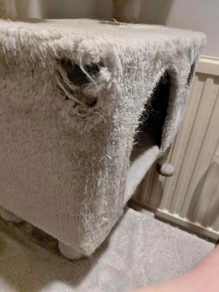 Photo of free Cat tower #2 (RG213AD) #2
