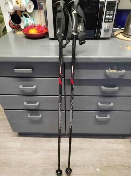 Photo of free Skis, Poles and Bag (York) #2